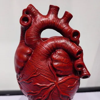 Ir 2021. Jaunu Anatomisko Cilvēka Sirds Vāze Jaunums Sveķi Augu Puķu Podi, Dekoratīvās Mājas Rotājumu Ķermeņa Sirds Formu Tēlniecības Vāze